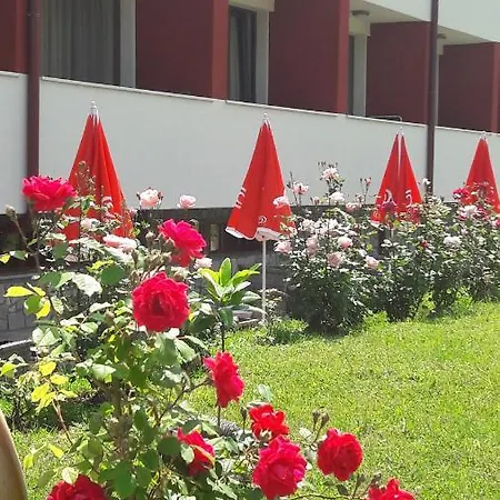 Paradise Hotel