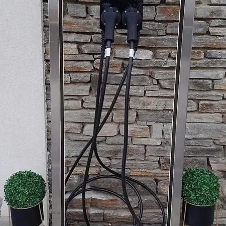 Paradise 西格伏沙尔克