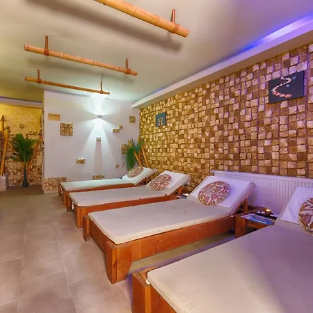 Paradise 3* Tsigov Chark