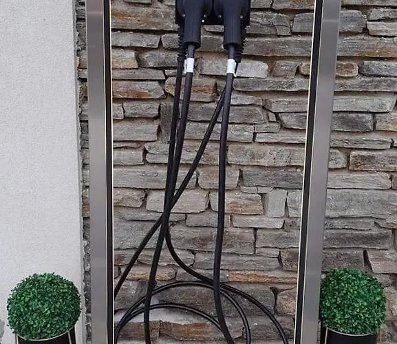 парадайс Цигов чарк